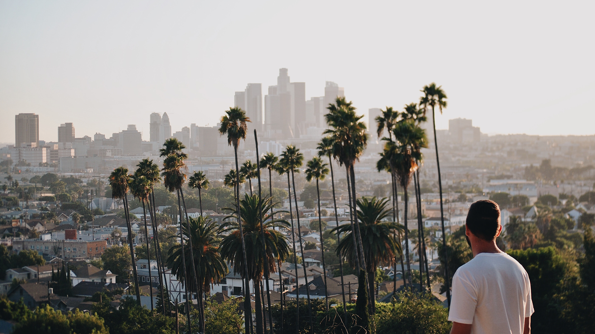 Los Angeles Shirt Los Angeles Tshirt LA Shirt Palm Trees -  Denmark