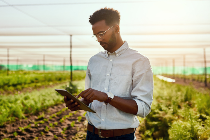 A man looks at a tablet in a farm field. 