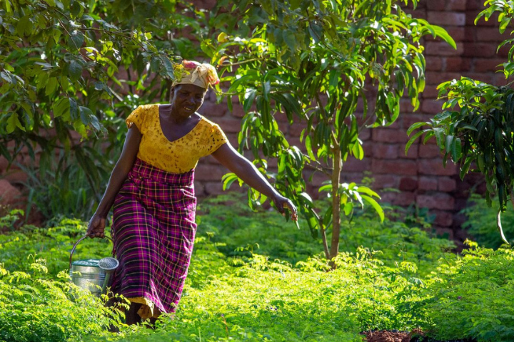 How tree planting in Malawi is reaping benefits for women